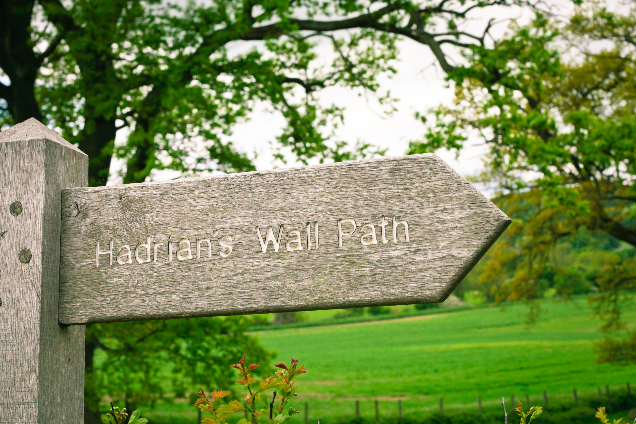 Hadrian’s Wall 10 Day 9 Night